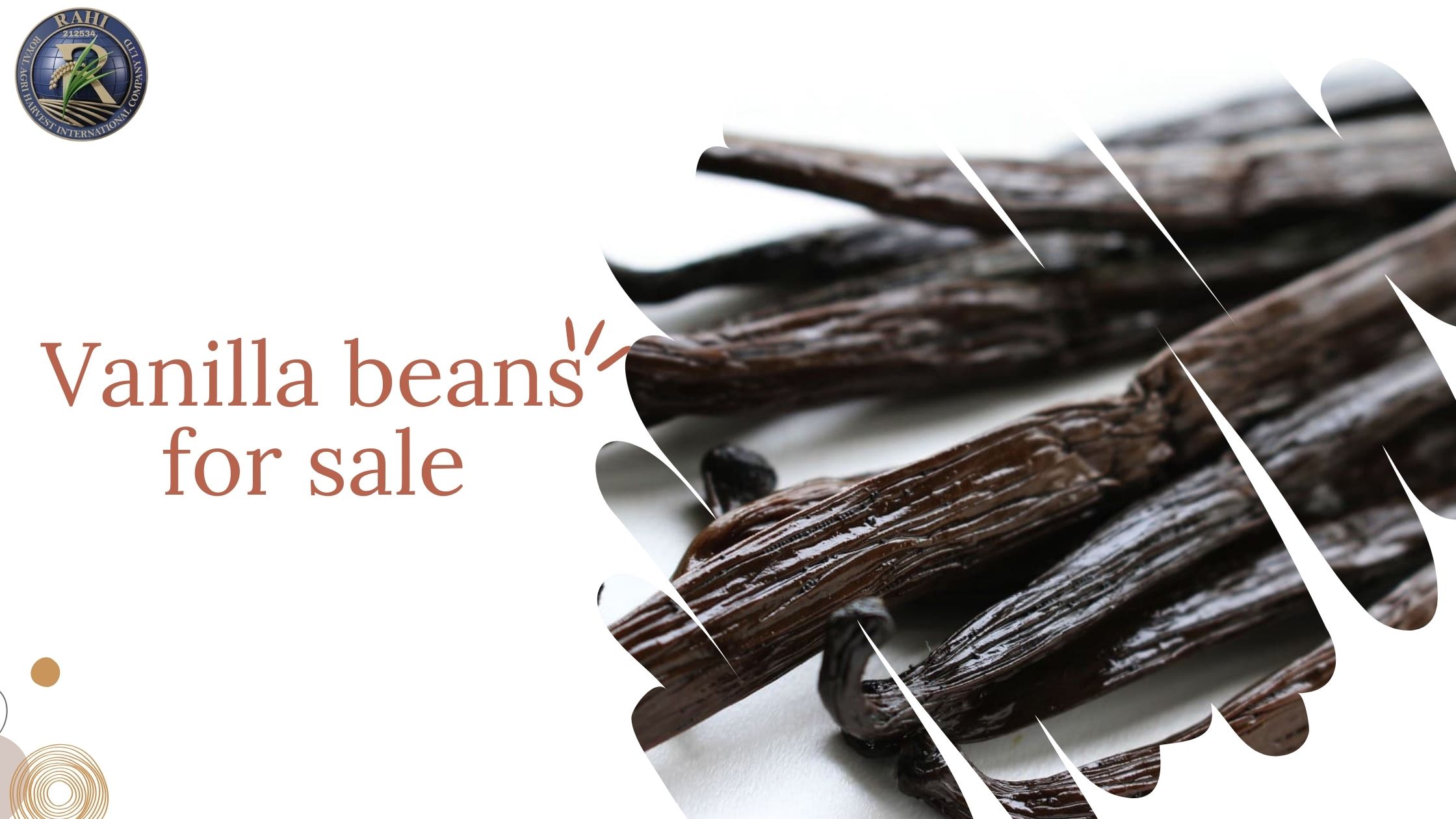 Vanilla Beans for Sale: A Complete Guide for Home Bakers & Professionals