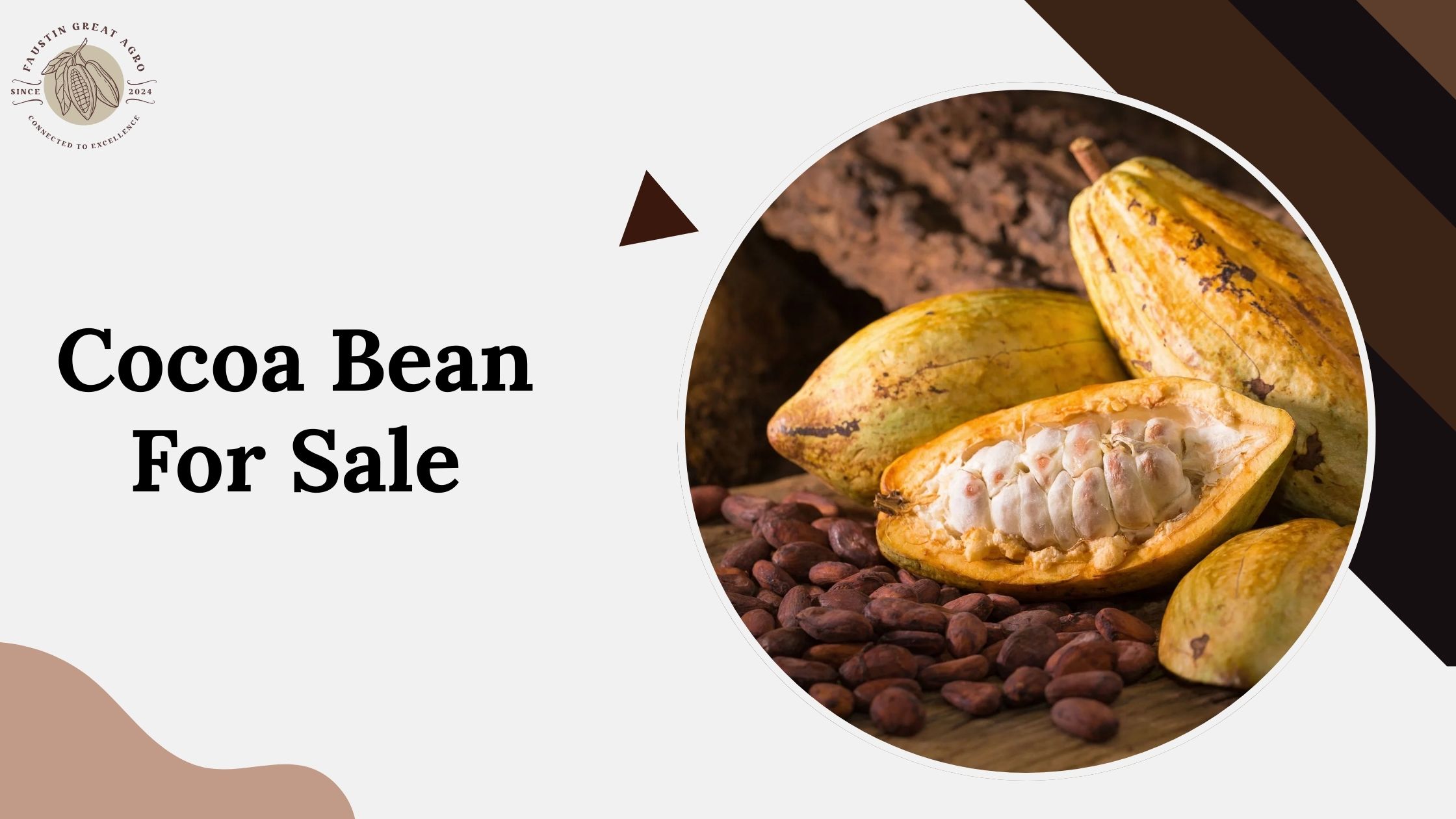 Where to Find Premium Cocoa Bean for Sale at Competitive Prices