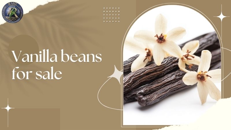 Why Bakers Are Searching for Premium Vanilla Beans for Sale