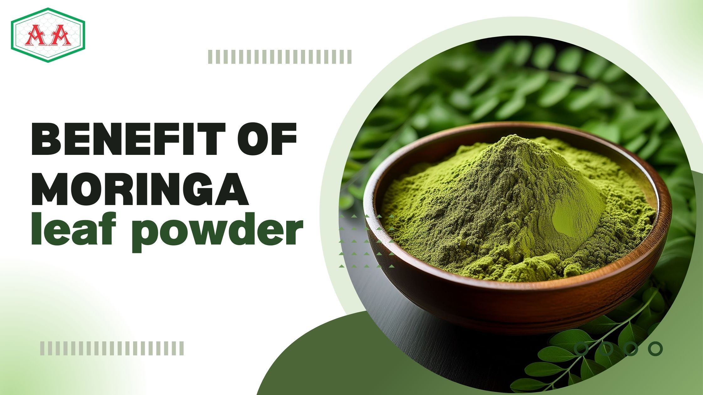 Understanding the Benefit of Moringa Leaf Powder in Modern Living