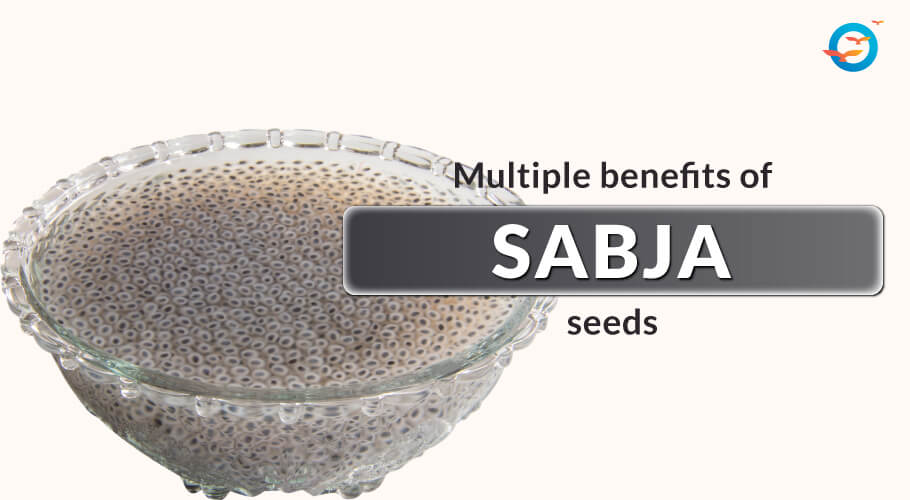 Sabja Seeds - Benefits and Its Side Effects